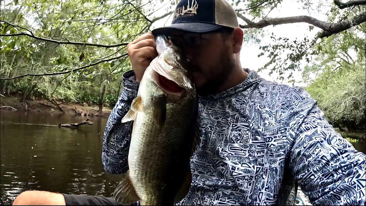 Ловля окуня на реке Сатилла 🎣