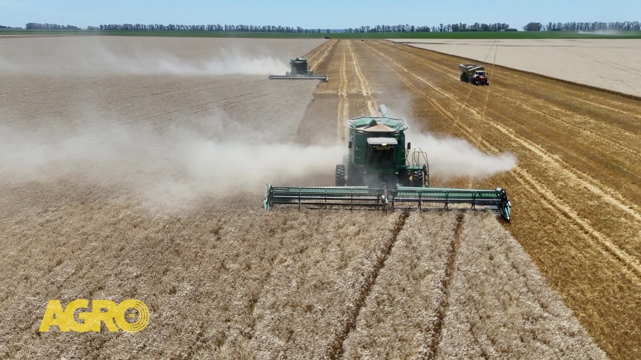 Semillas para rendir más:Glycine Max apuesta a trigos y sojas de máximo potencial (#1167 2025-12-27)