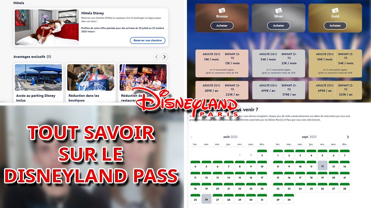 TOUT SAVOIR SUR LES DISNEYLAND PASS A DISNEYLAND PARIS