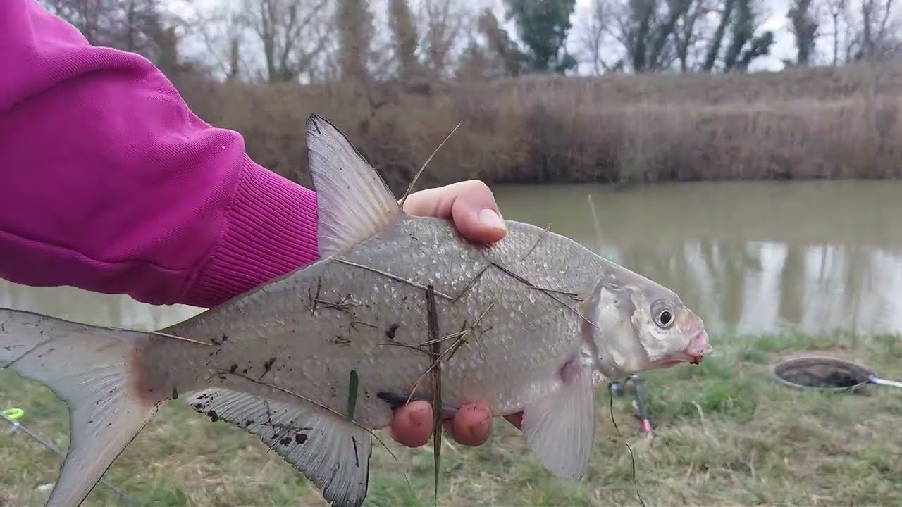 Prima iesire in anu 2026 am prins cu carp si niste platici
