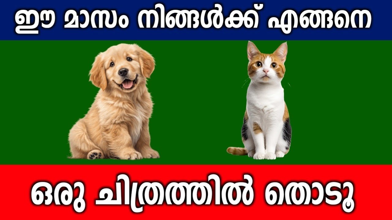 ഈ മാസം മുതൽ നിങ്ങളുടെ സമയം മാറുന്നു... അറിയാം വന്നുചേരാൻ പോകുന്ന ഭാഗ്യങ്ങൾ...