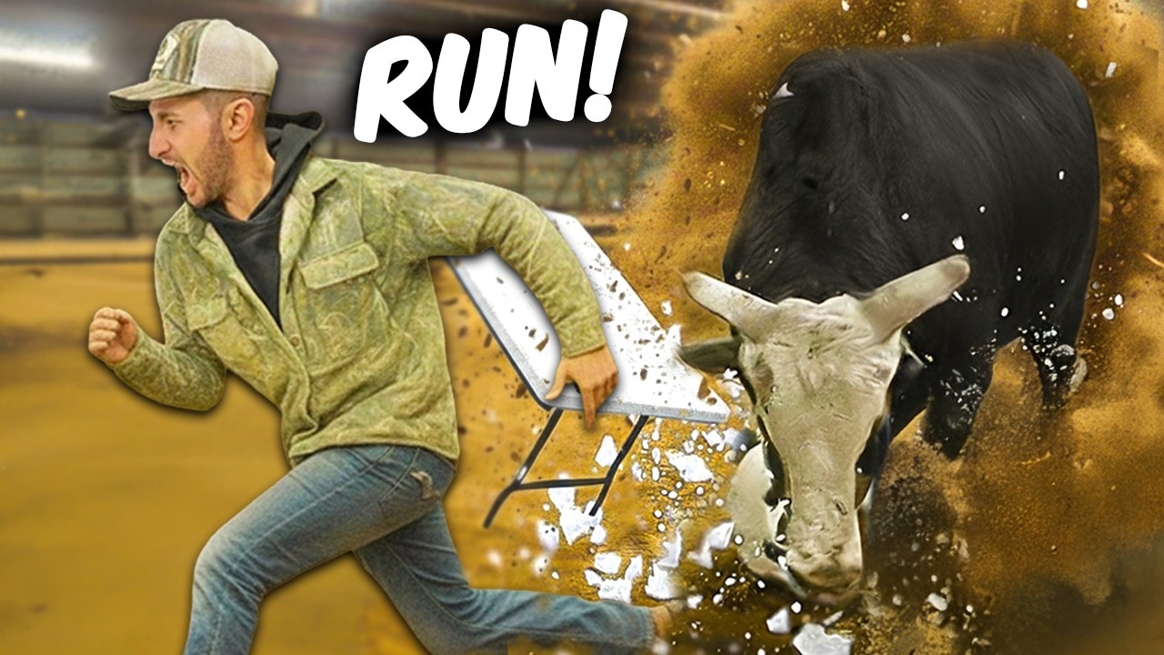 Challenge Roulette But With An ANGRY BULL!