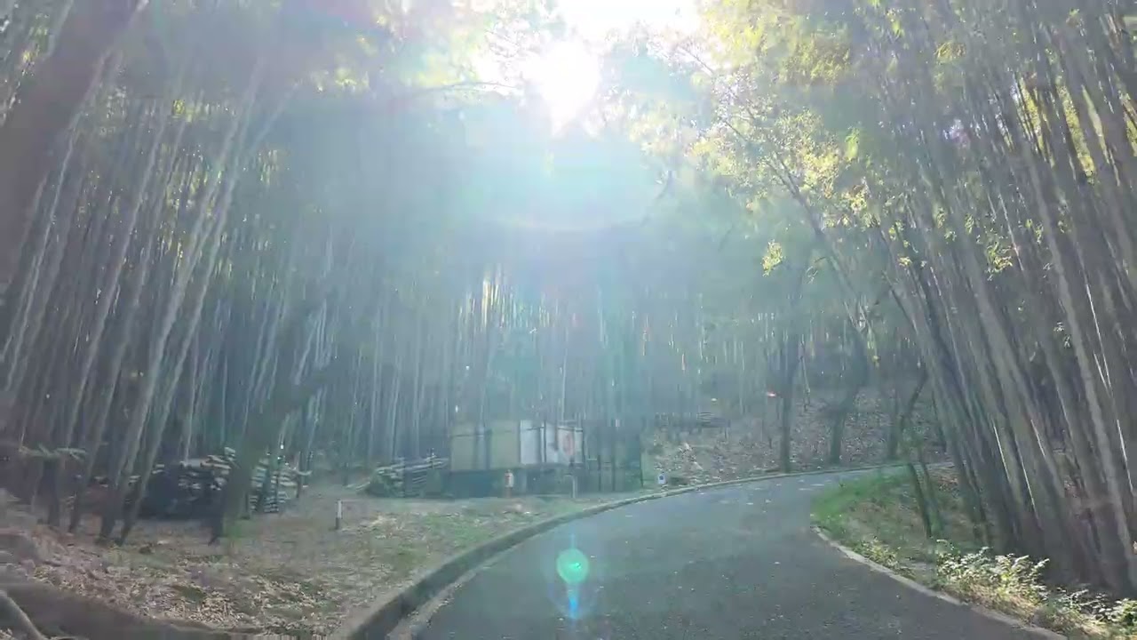 【4K】②Walk in Hattori Ryokuchi Park｜Osaka Suburban Stroll &ndash; October 2025 / 大阪・服部緑地を歩く｜2025年10月