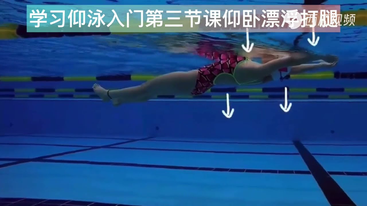 学习仰泳入门第三节课仰卧漂浮打腿练习详细教程