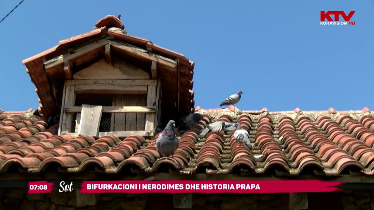 Bifurkacioni i Nerodimes dhe historia prapa 24 07 2020