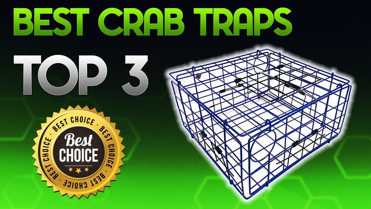 Best Crab Traps 2019 - Crab Trap Review