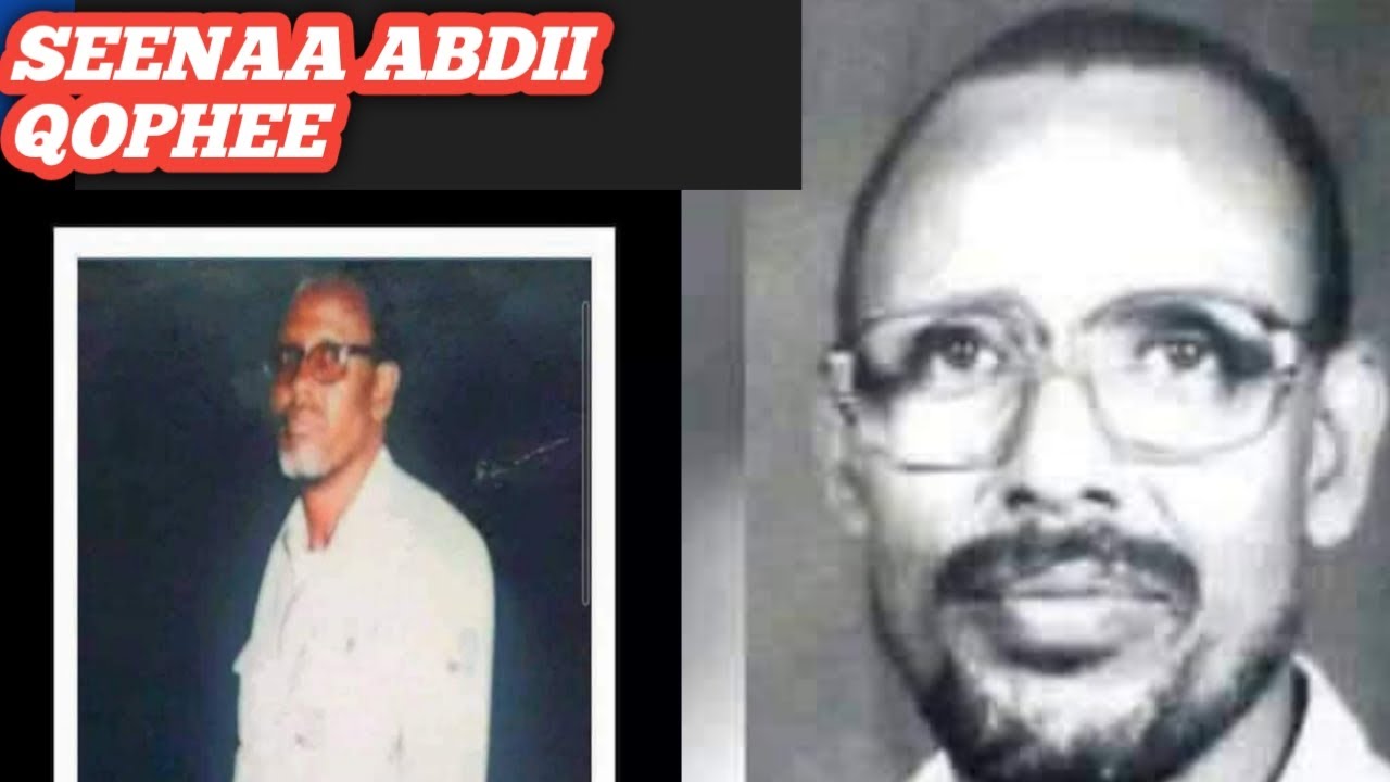 Seenaa Artist Abdii Qophee
