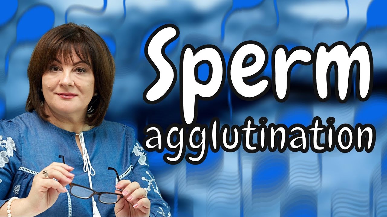Agglutination of sperm #fertility #reproduction #doctorberezovska #olenaberezovska #insemination