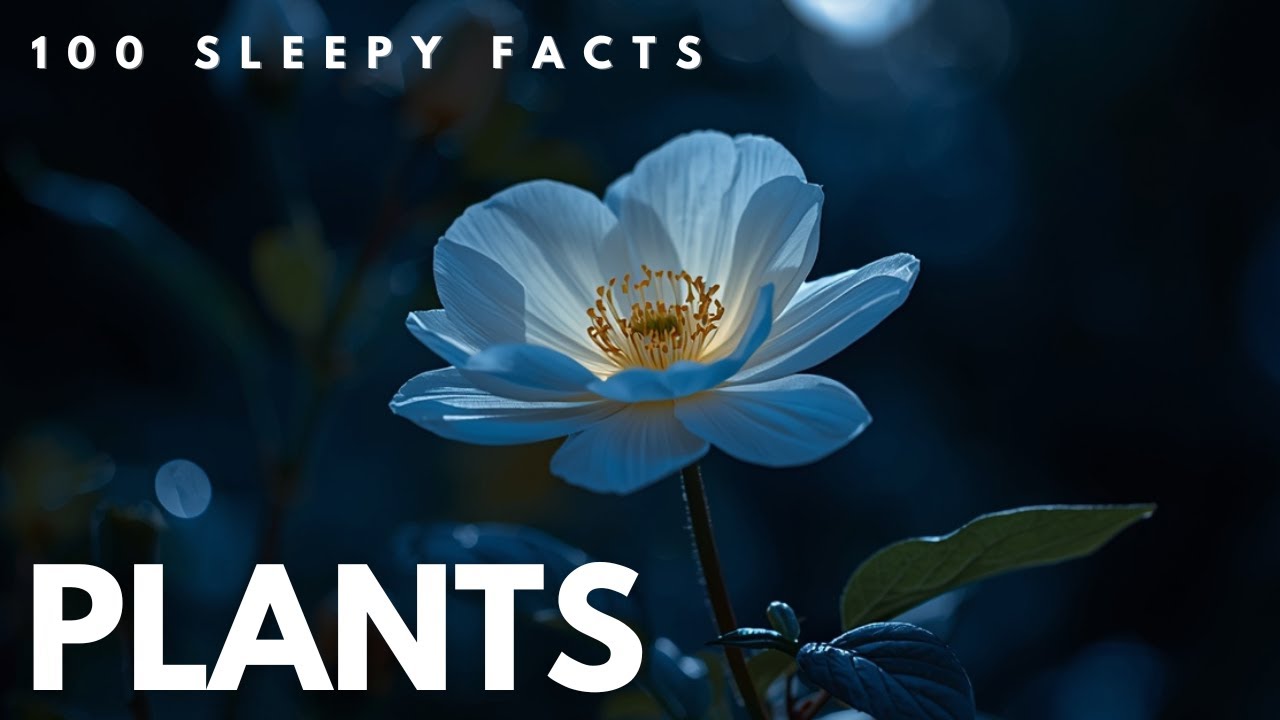 The Most Relaxing Facts About Plants To Fall Asleep To