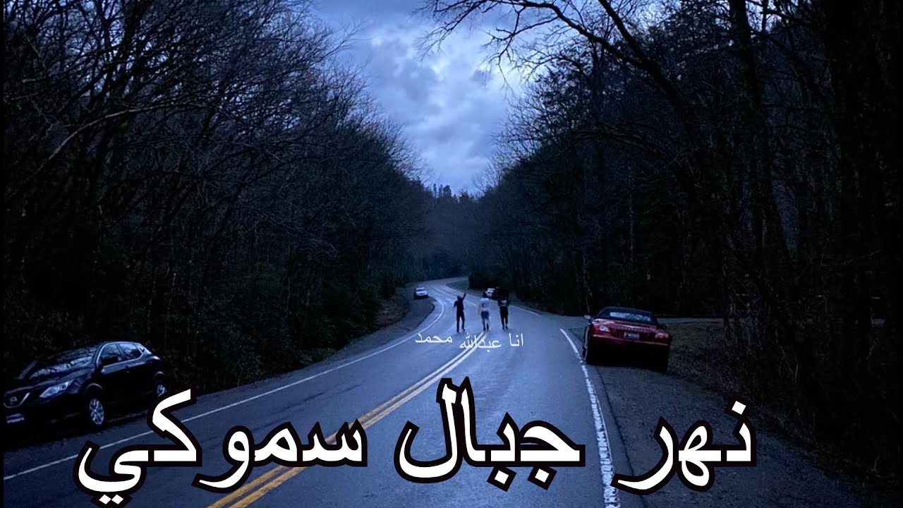 رحلتنا الى جبال سموكي ماونتن 2