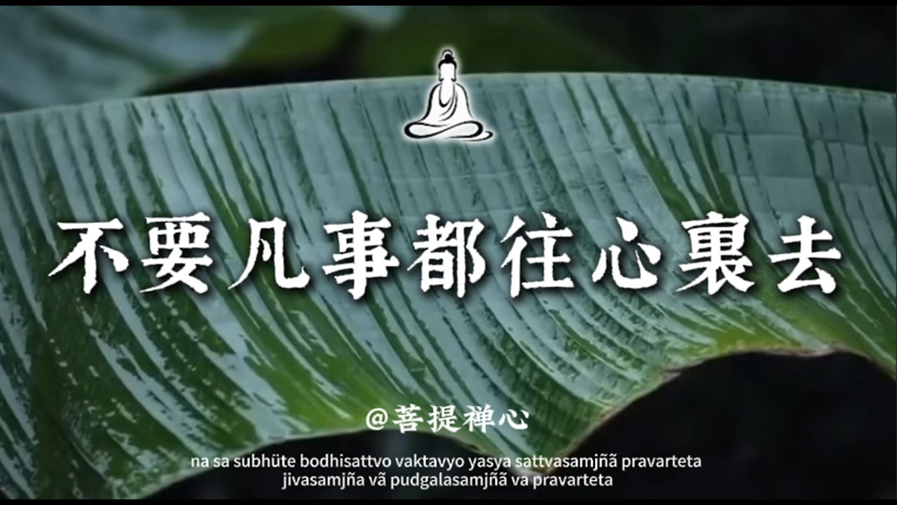 不要凡事都往心裏去，你的人生會輕鬆百倍｜菩提禪心#佛学 #人生感悟 #修行 #修心修行 #國學 #治愈