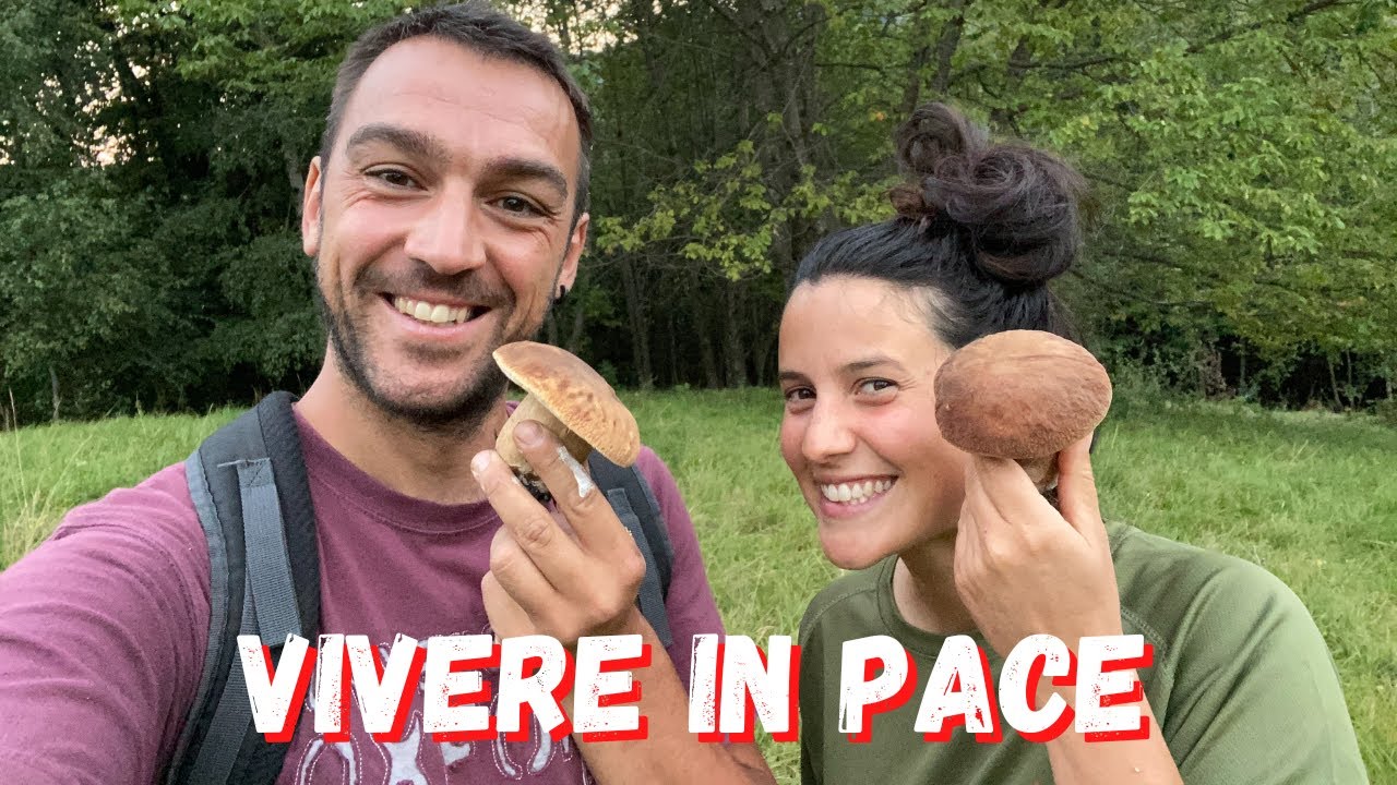 Una GIORNATA TIPO di agosto - Vita in Montagna - Ep. 401