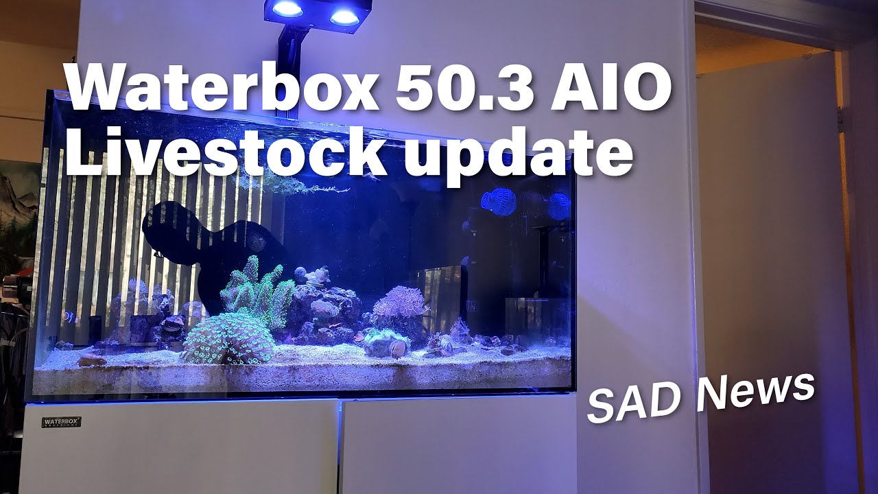 Waterbox 50.3 AIO Sad Update - Ich or velvet?