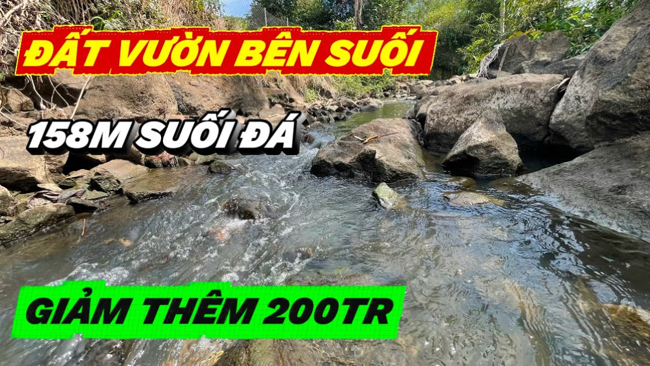 Tiếc Quá cũng Phải giảm thêm “ mãnh vườn tâm huyết vào thế buộc phải bán