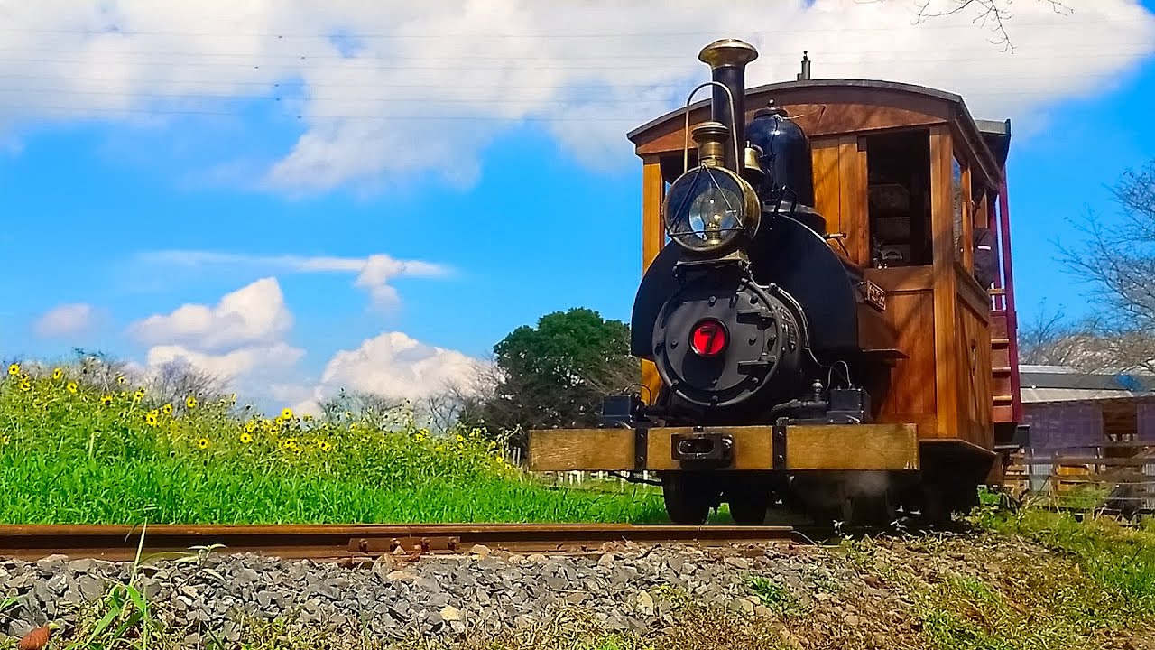 【SL】蒸気機関車が2種類（石炭・灯油）運行！4K映像【貴重なSL交代シーンもあり】