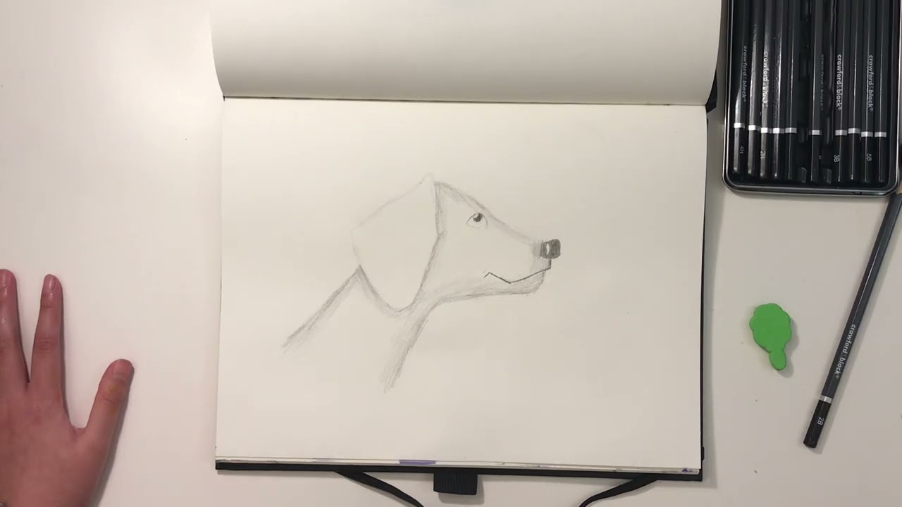 Dalmatian dog drawing with shading
