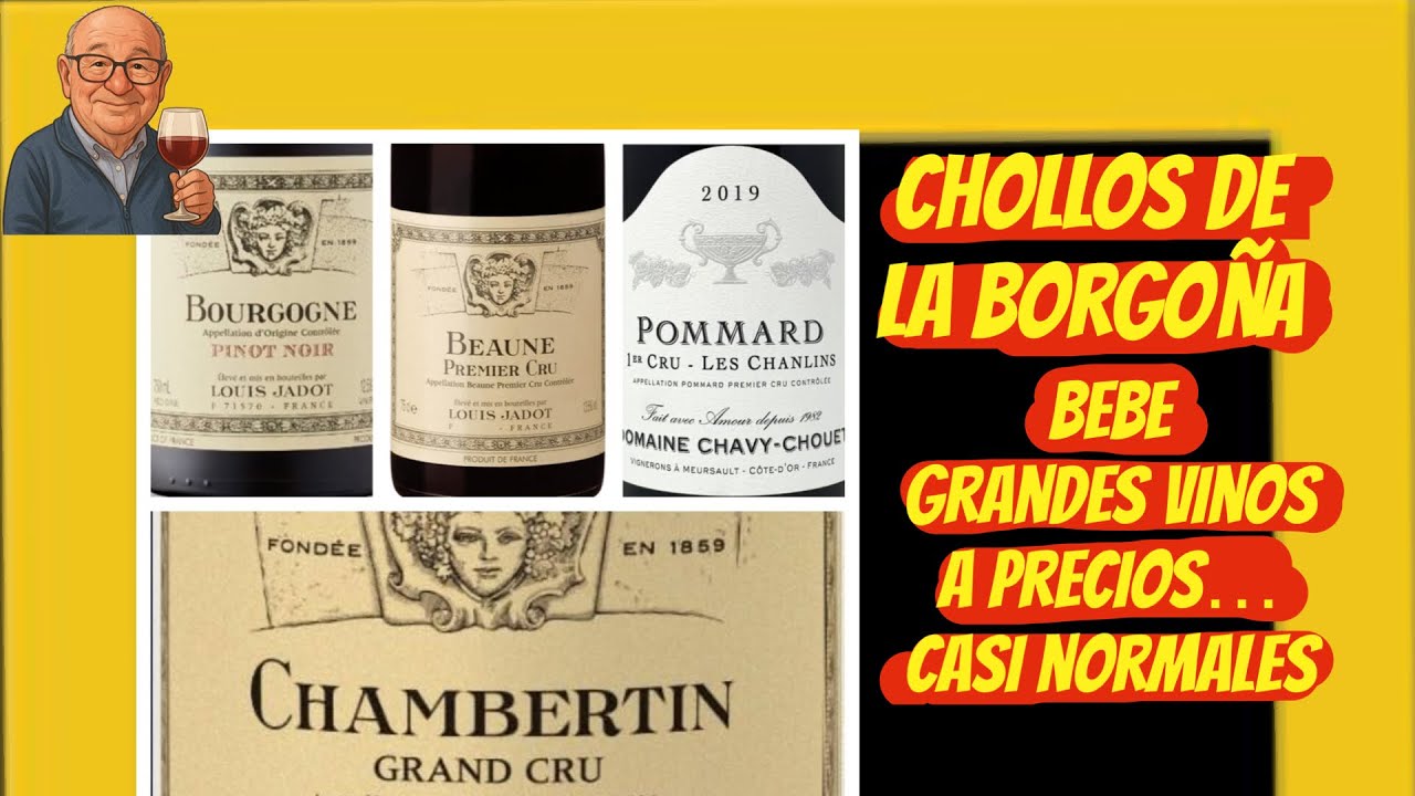 (369) CHOLLOS DE LA BORGOÑA, BEBE GRANDES VINOS A PRECIOS… CASI NORMALES!