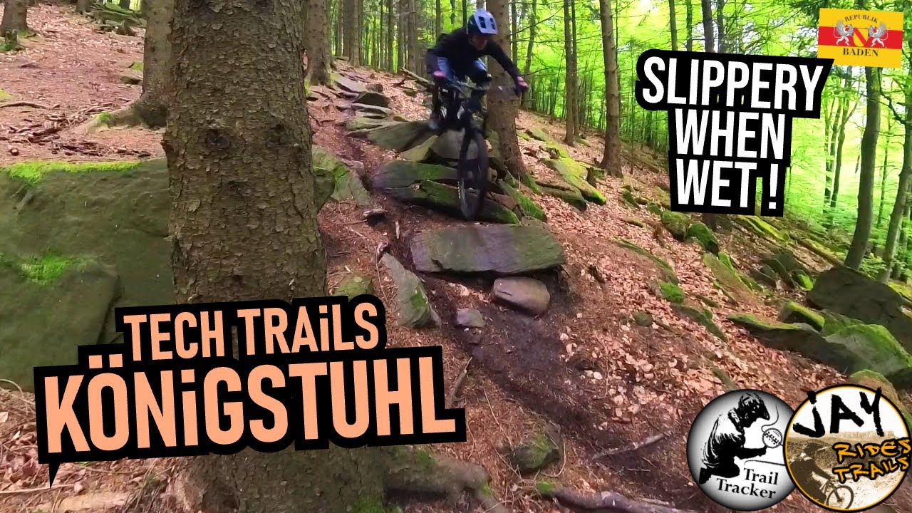 HEIDELBERG Königstuhl Tech Trails in feucht: Rock n Roller, Kurvenkratzer / Mountainbike MTB Enduro