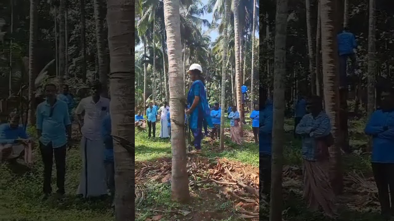 തെങ്ങിന്റെ ചങ്ങാതിക്കൂട്ടം കാസർഗോഡ് ജില്ല കൈരളി ടിവി ചാനലിന് വേണ്ടി പെരിയയിൽ വച്ച് ഫോട്ടോഷൂട്ട്