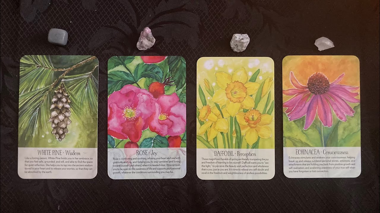 ❄️🍁 A YEAR OF DIVINE LOVE REVEALED 🌺☀️  | Pick A Card Tarot Reading | Timeless Reading