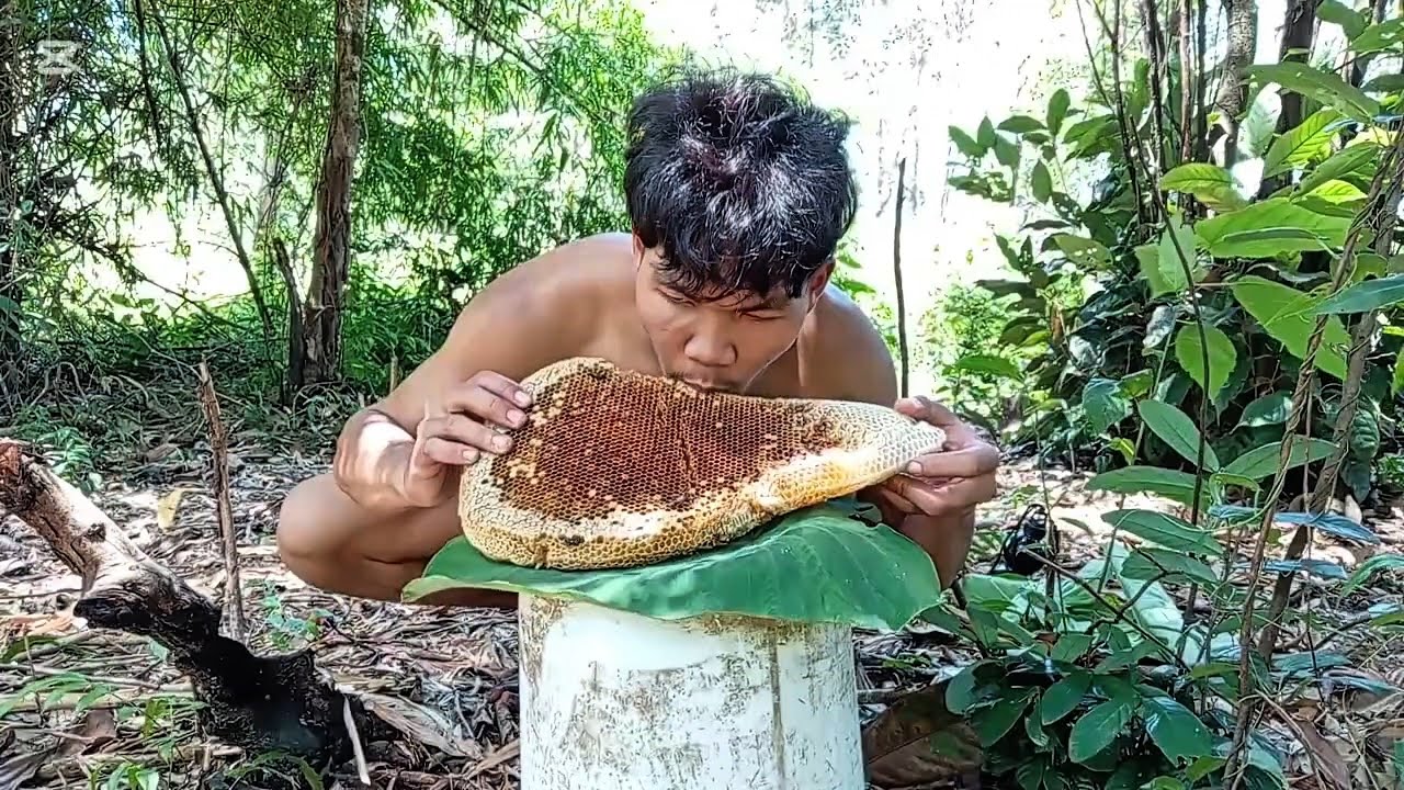 Honeycomb is a delicious and very hard-to-find food.