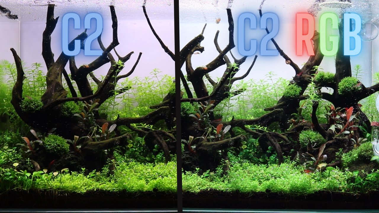 Chihiros C2 vs Chihiros C2 RGB! Perfect LED LIGHT For Nano Aquascape