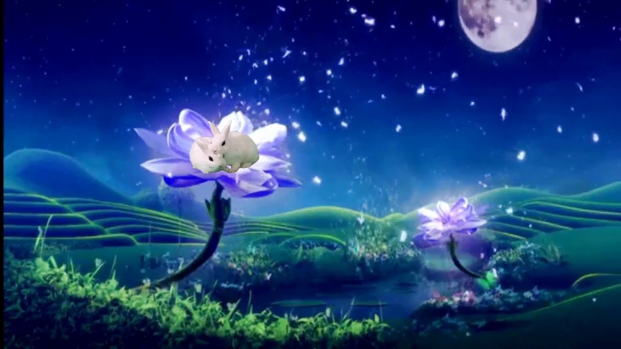 Beautiful Chinese Guzheng Songs Relaxing Studying Sleep Music 好聽的中國古箏音樂 纯古筝 初見