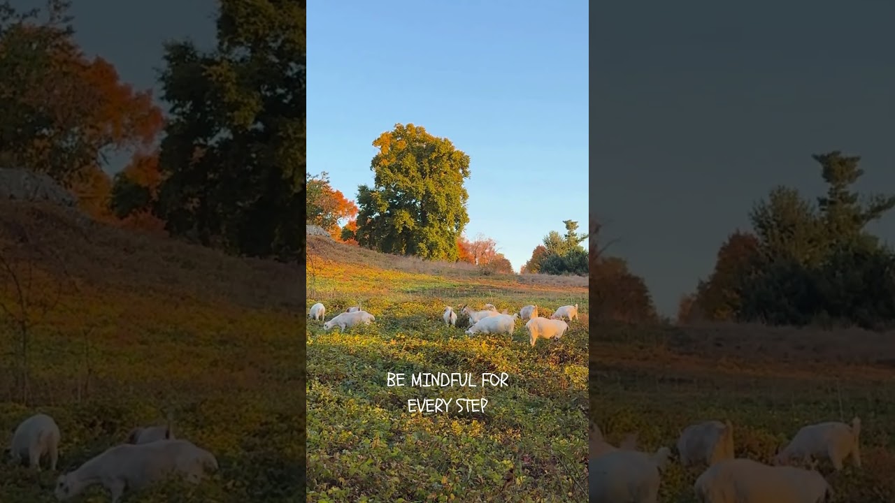 Kendal Way, Sleep Hollow NY, New York’s Autumn Beauty: Dreamy Scenery Along the Hudson River, 10/'24