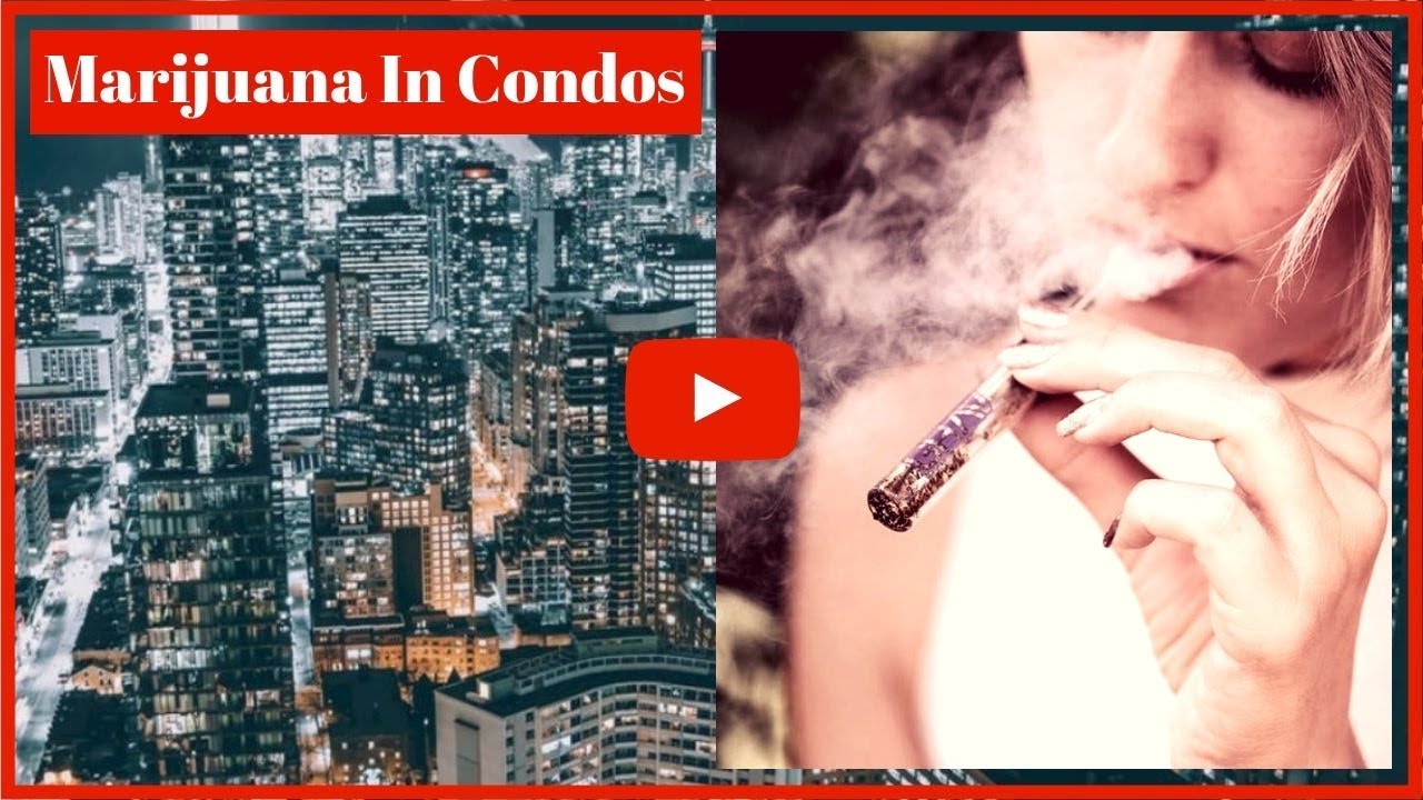 Best Rent-To-Own Homes Toronto GTA - 06: Marijuana In Condos!