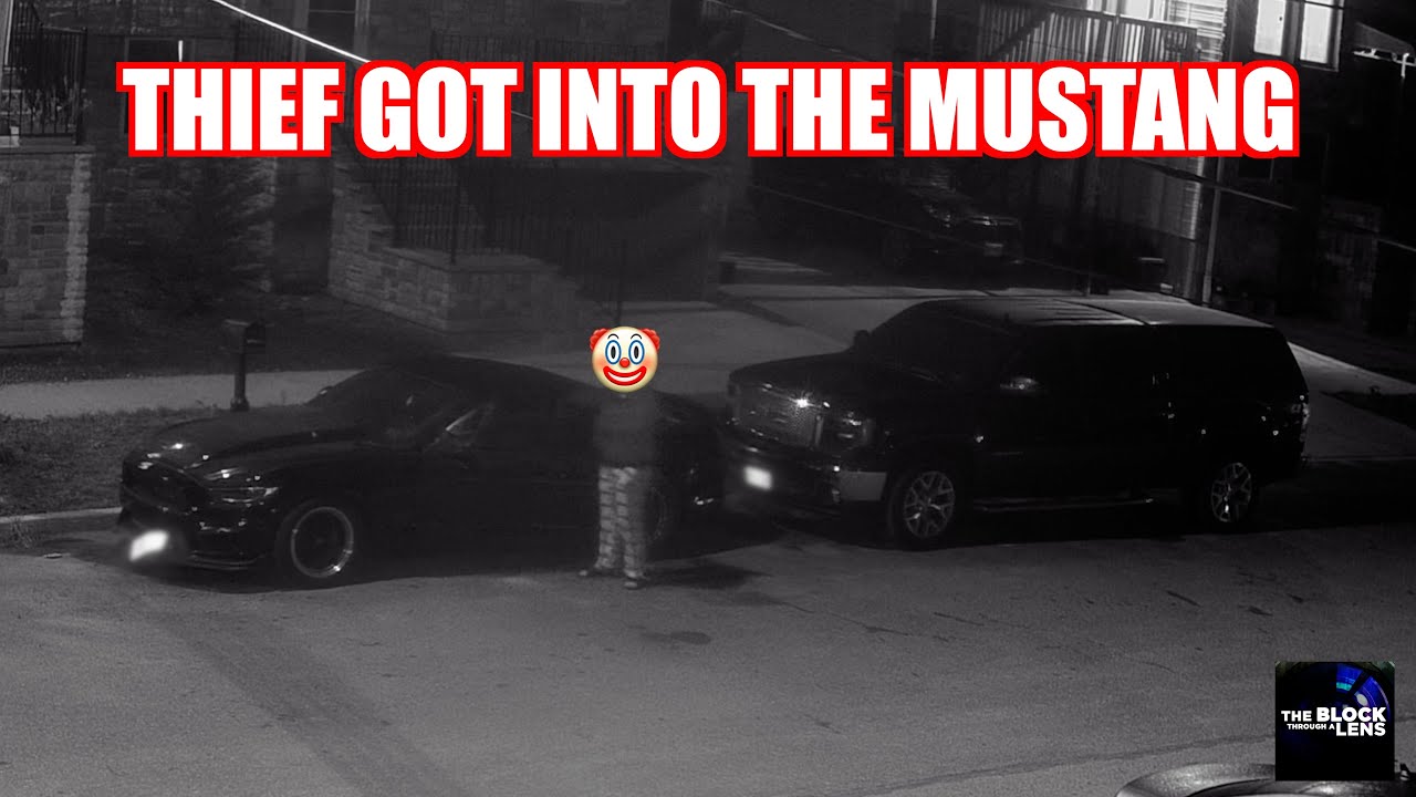 Thief tried to steal stuff out of the Mustang