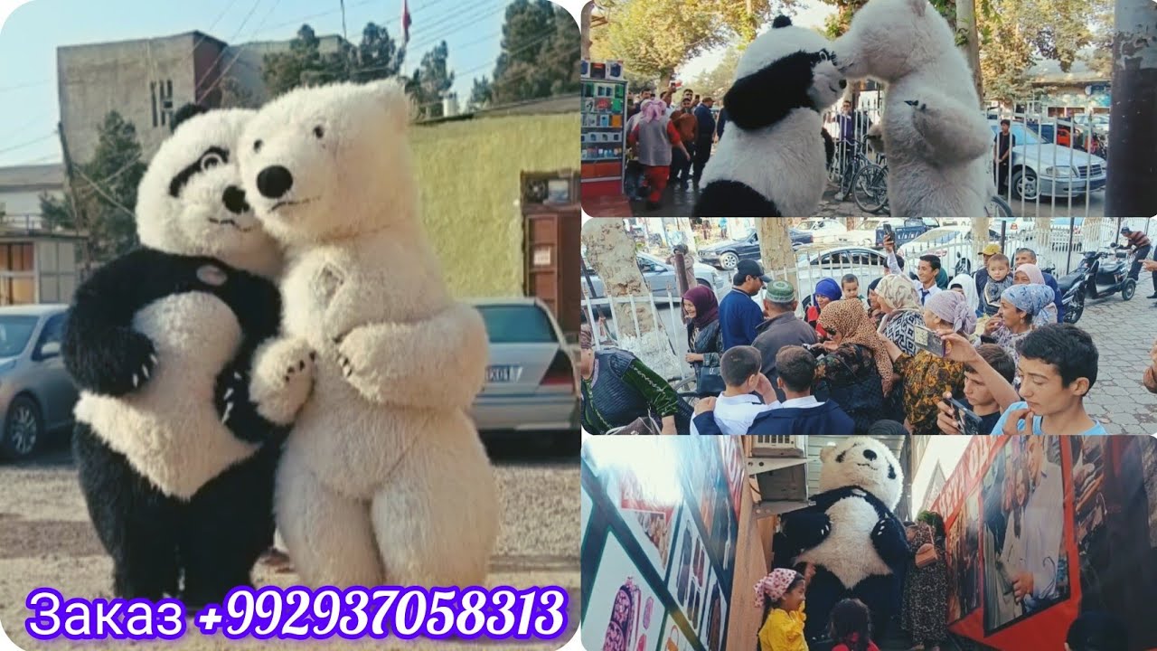 Н.ҚУБОДИЁН 😱ХИРСАКО ДАР КУШОДАНИ МАҒОЗА