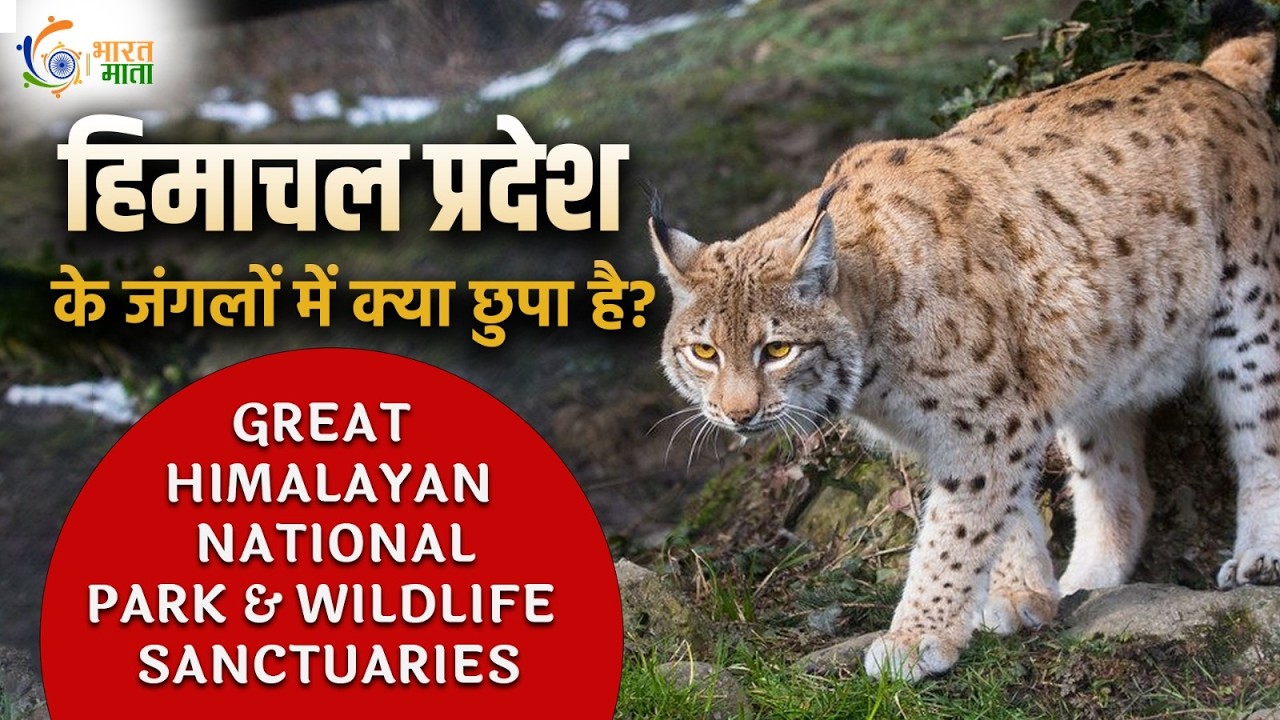 हिमाचल प्रदेश के जंगलों में क्या छुपा है? | Great Himalayan National Park | Snow Leopard का घर #hp