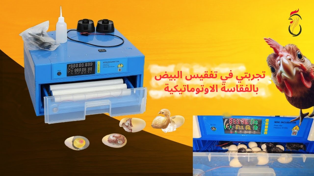 أول تجربة لي فيـ  تفقيس البيض بالفقاسة الأوتوماتيكية  نظام ألماني| من البداية حتى الفقس خطوة بخطوة 🔥