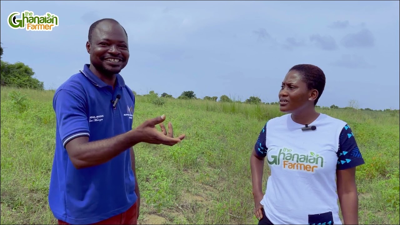 You Won’t Believe This | We Just Rented 5 Acres Of Farm Land To Start Commercial Sweet Potatoes Farm