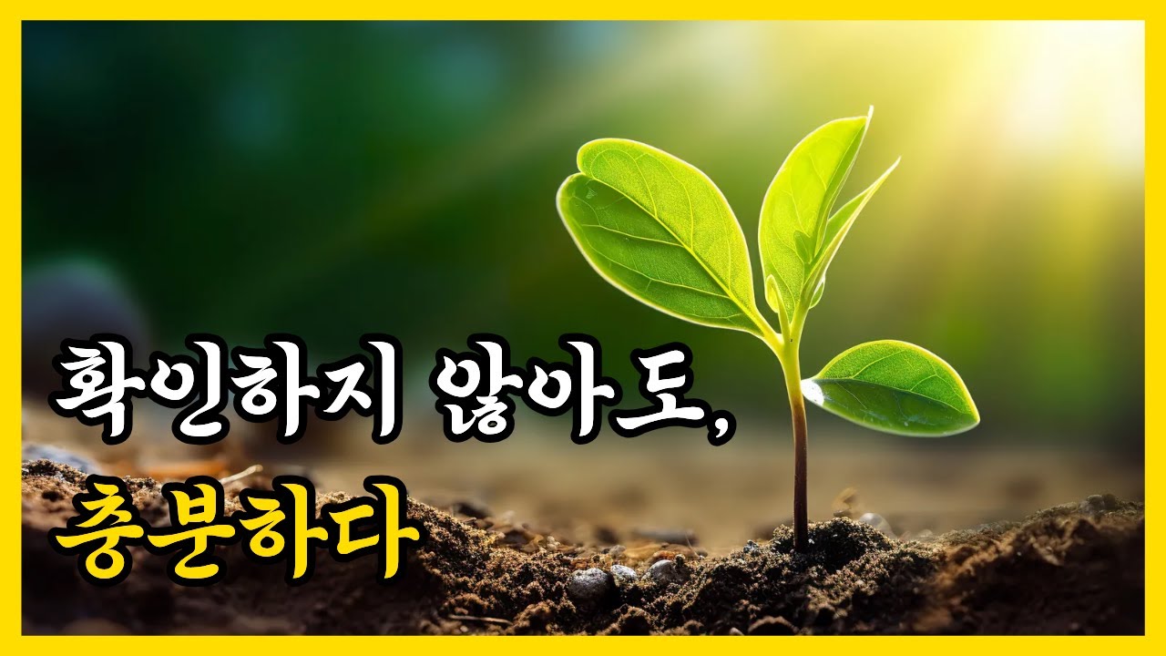 확인하지 않아도, 이미 충분하다