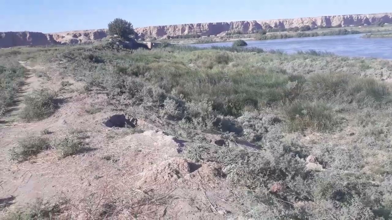 نهر الفرات راعي الأغنام 