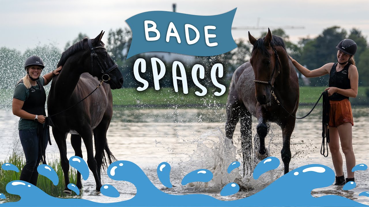 WIR FAHREN AN DIE DONAU 💦