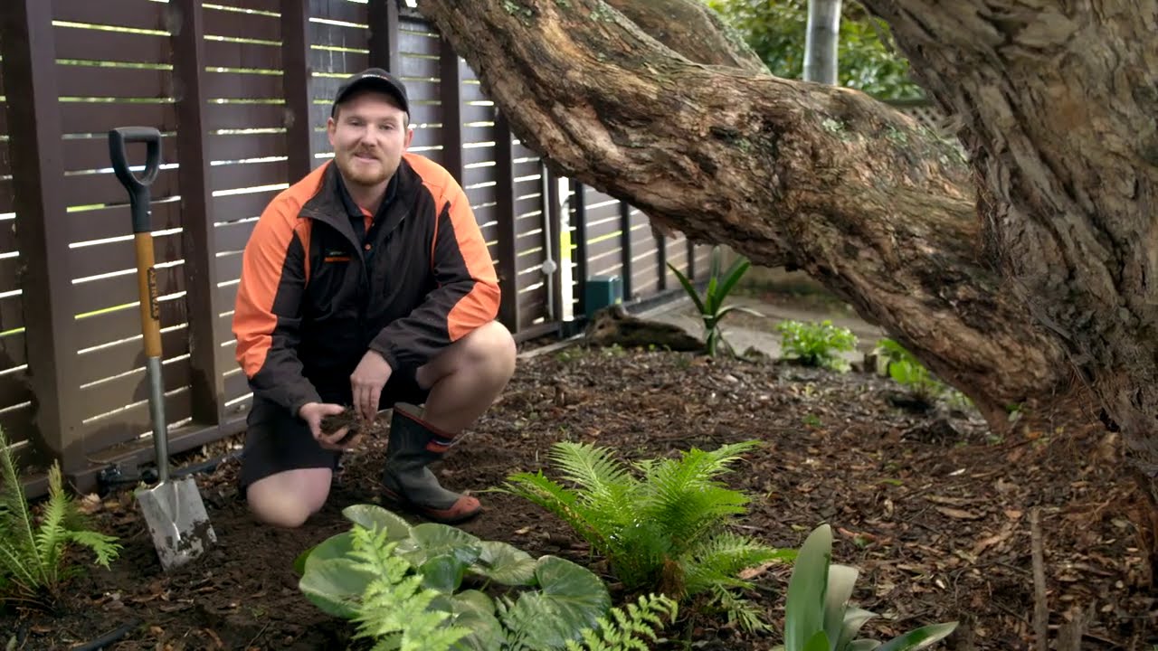 Hoe u de kwaliteit van uw grond kunt verbeteren | Mitre 10 Easy As Garden