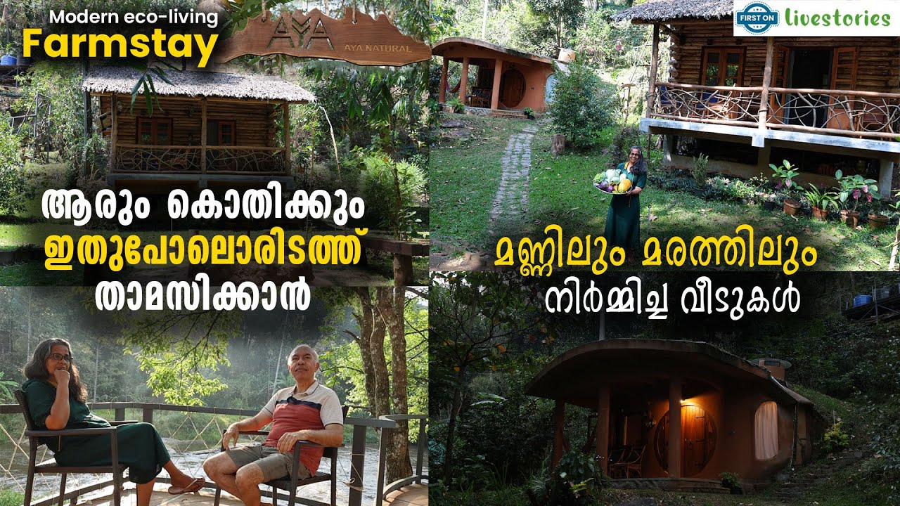 ആരും കൊതിക്കും ഇതുപോലൊരിടത്ത് താമസിക്കാൻ | മണ്ണിലും മരത്തിലും നിർമ്മിച്ച വീടുകൾ | Livestories