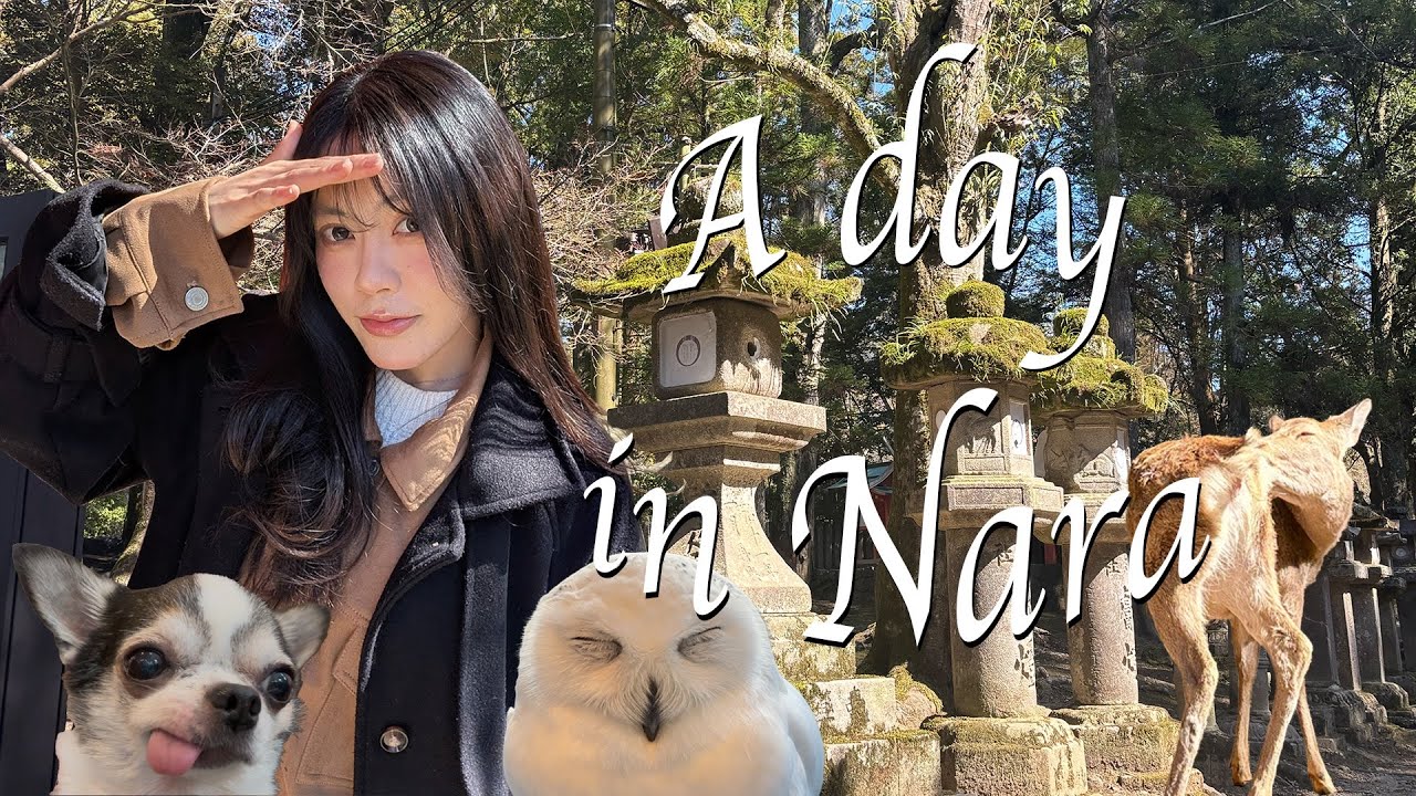 A day in Nara🦌⛩
