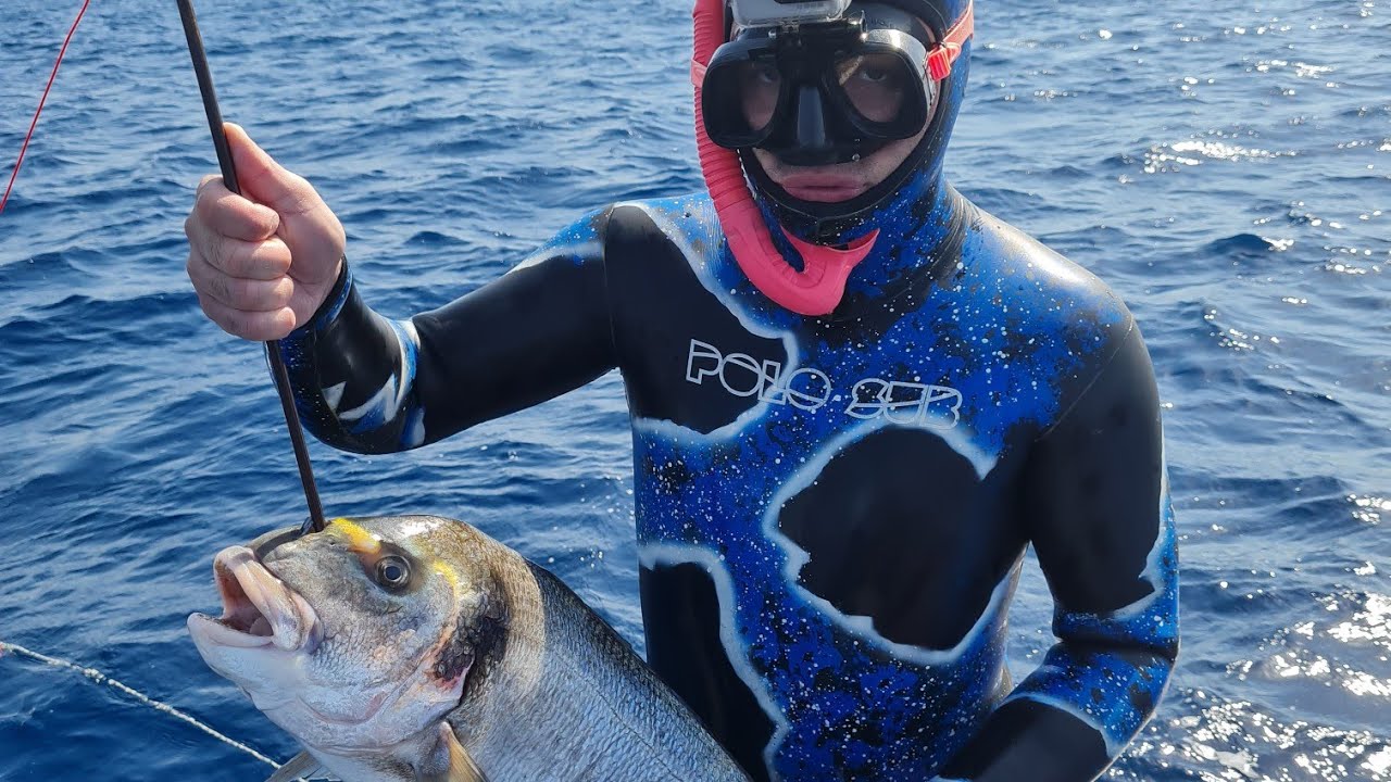 Les Gros Poissons De Marseille Chasse Sous Marine 2022/2023