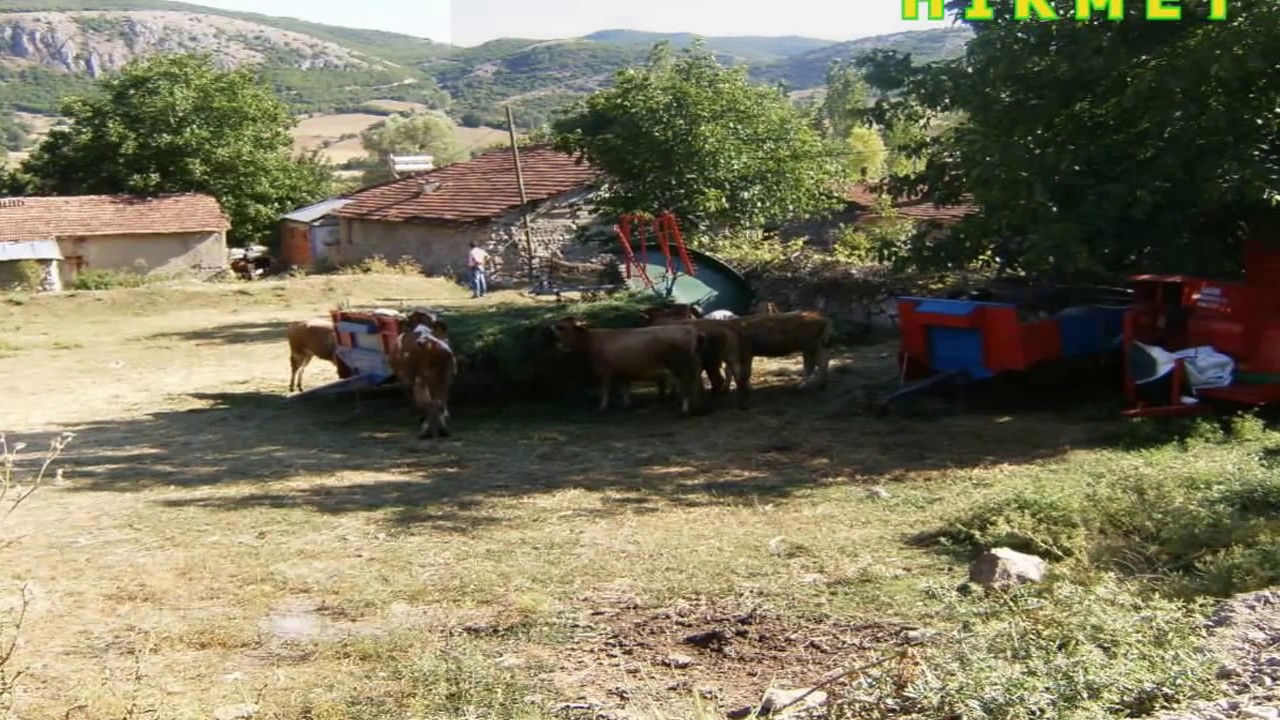 TOKAT ARTOVA GÜMÜŞYURT KÖYÜ