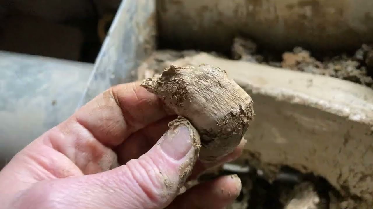 Mixing Clay. Processing local dug clay for making pottery. January 24, 2024