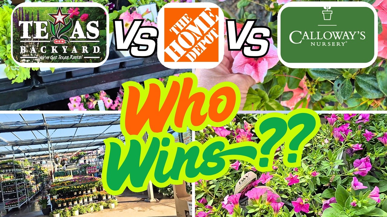 HEB vs. Home Depot vs. Calloway's - Which Garden Center Has The CHEAPEST Prices & BEST Inventory??