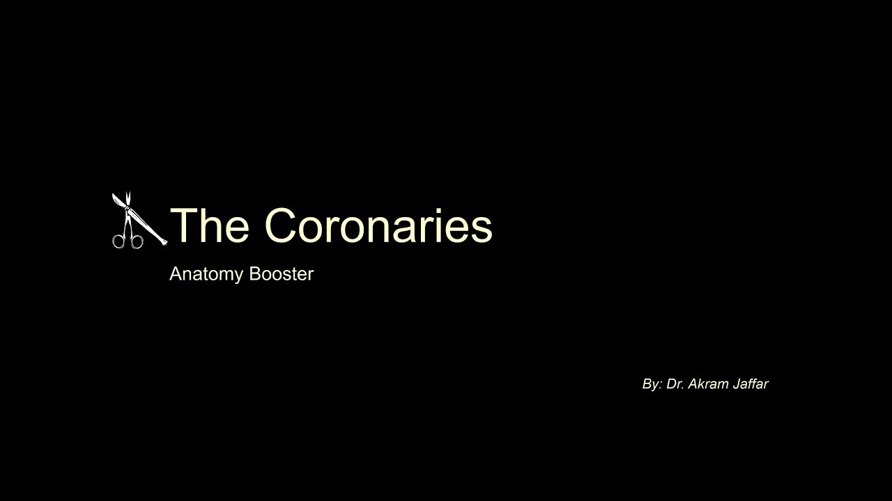 Anatomy Booster - The Coronaries