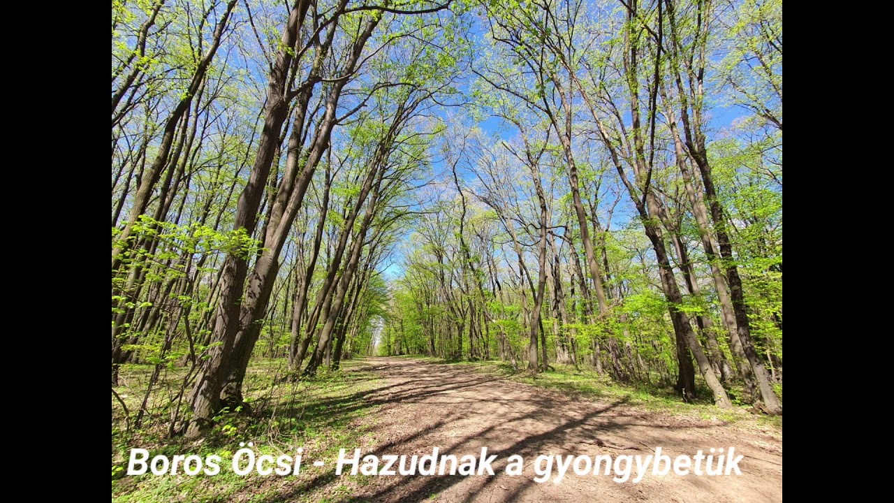 Boros Öcsi - Hazudnak a gyöngybetük ( Magyar nóta)