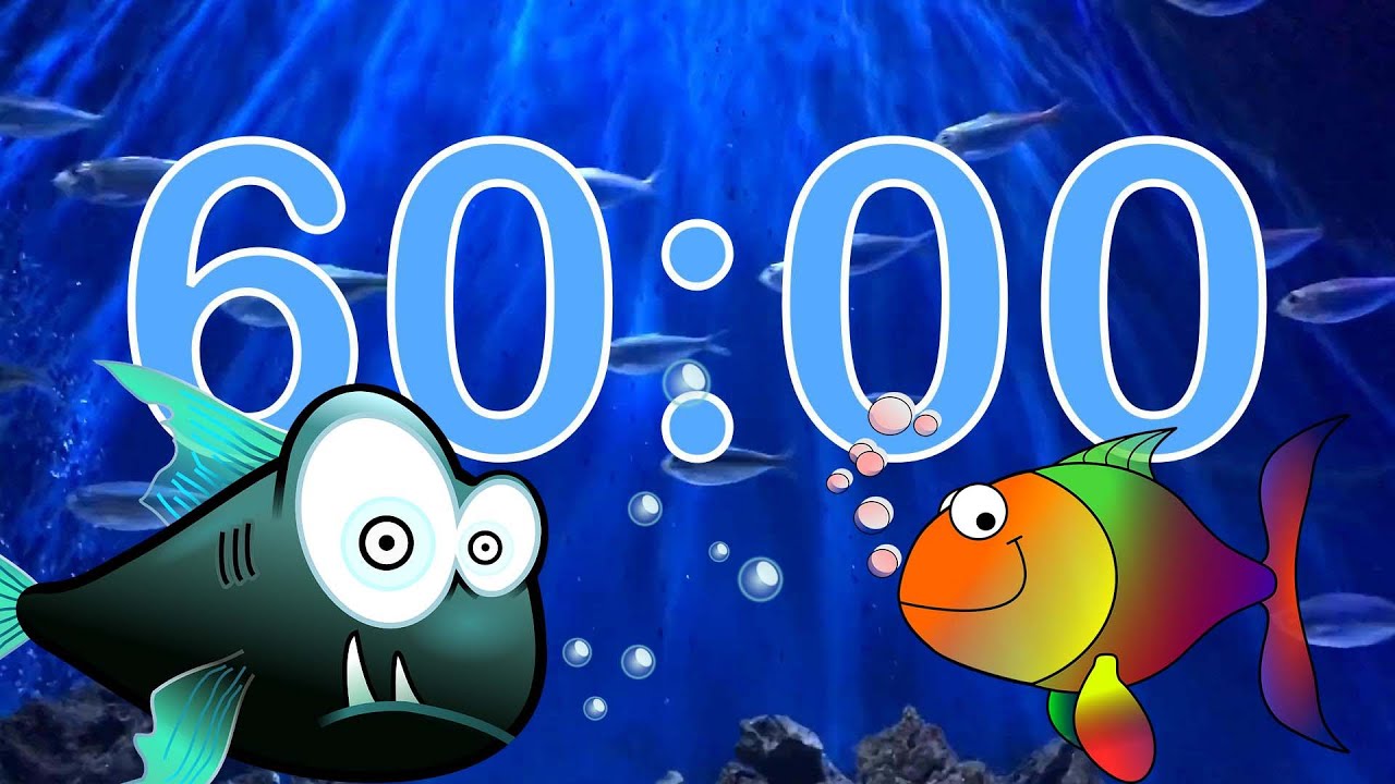 60 Minute 🐟 Fish 🐠 Tank Aquarium Countdown Timer - Sonar Alarm
