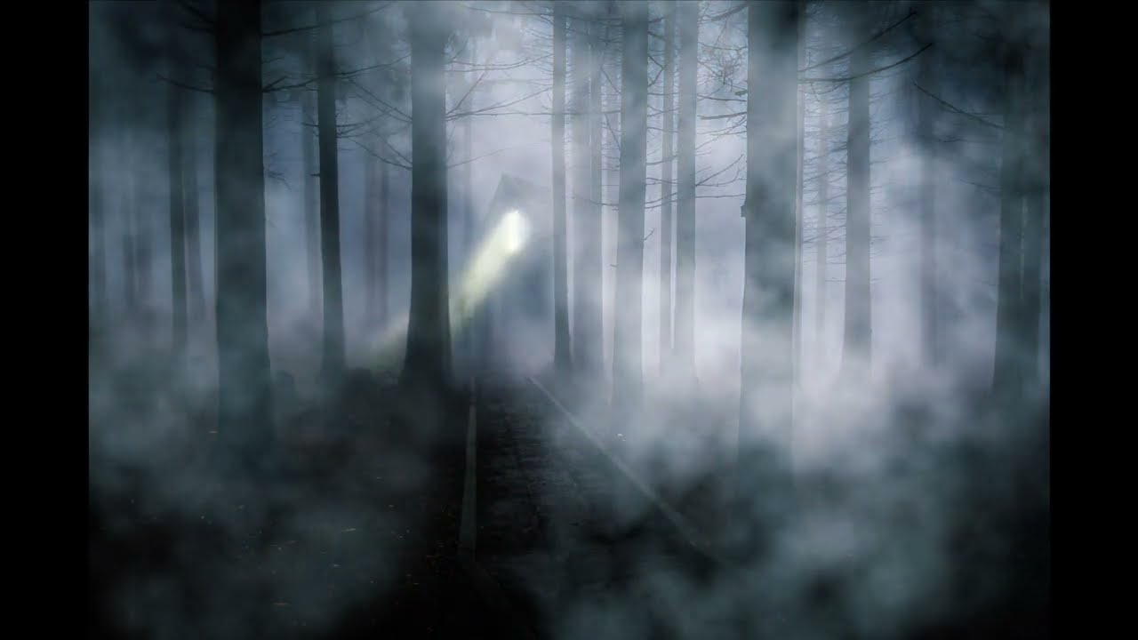 Misty Woods (Animated Background with Music 1-hour loop)