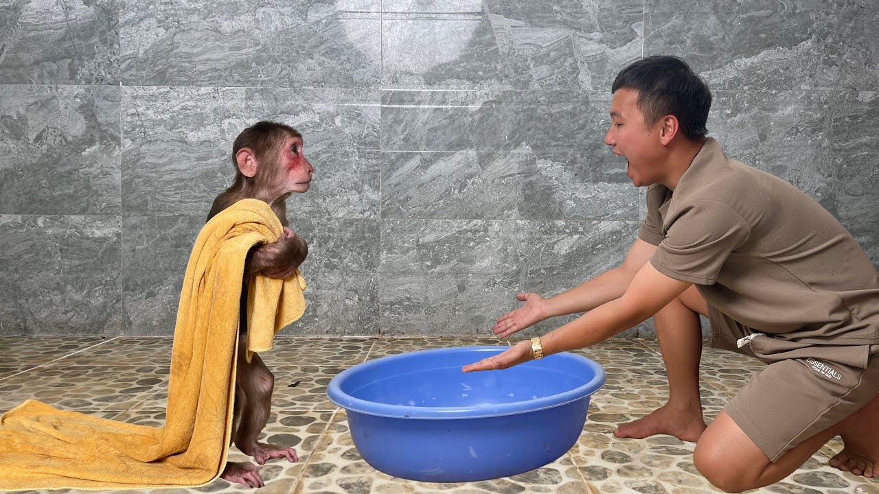 Super Smart Cubis Asks Dad for a Bath When He Feels Uncomfortable 🛁