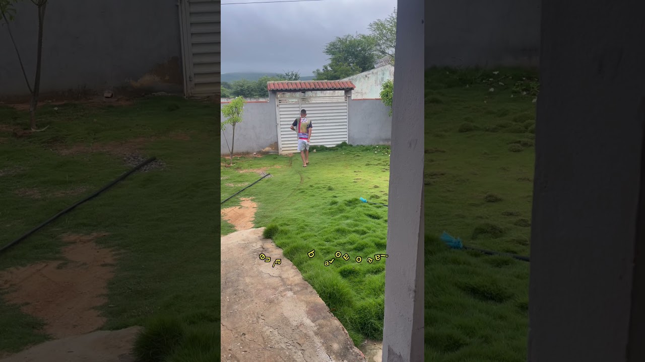 QUANDO SAI PRA CAMPEAR ESCONDIDO🤣|#azul&atilde;o#passaros #campeada #pegadalivre #shorts #papacapim